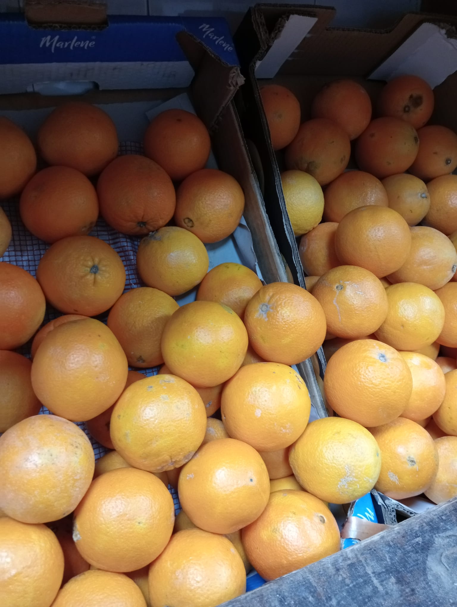 Naranjas de zumo