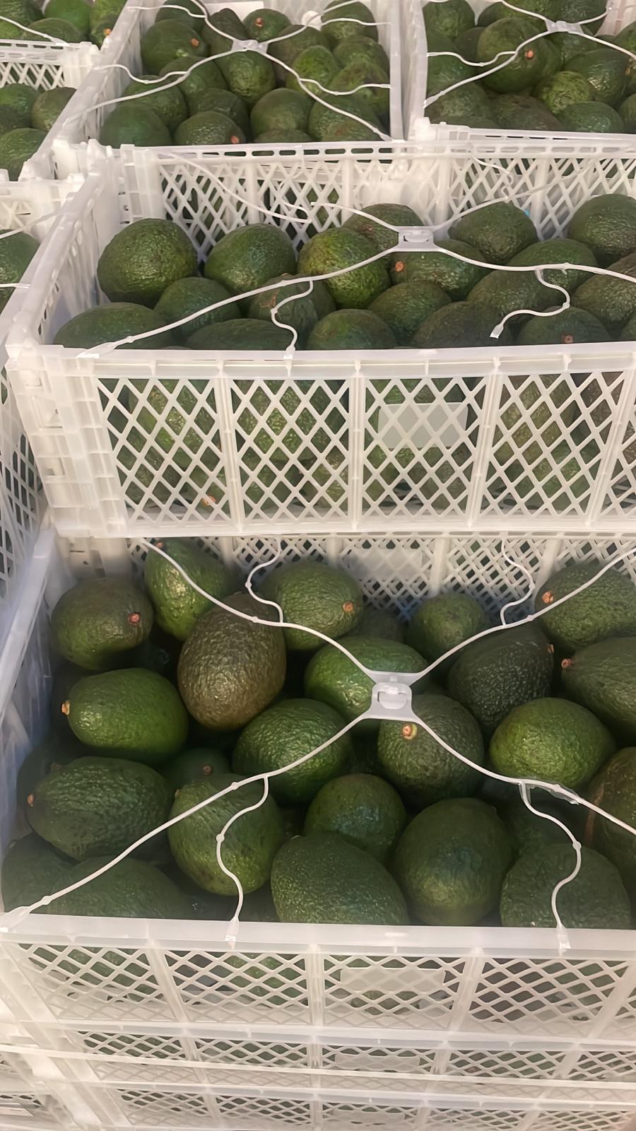 Aguacates hass 500gr. aprox