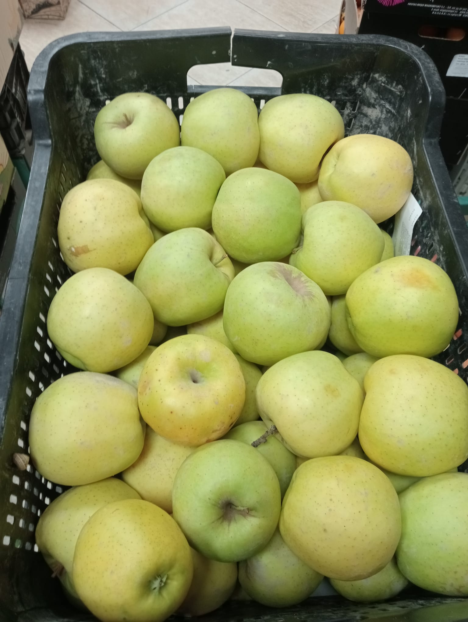 Manzanas Golden ecológicas 1kg aprox.