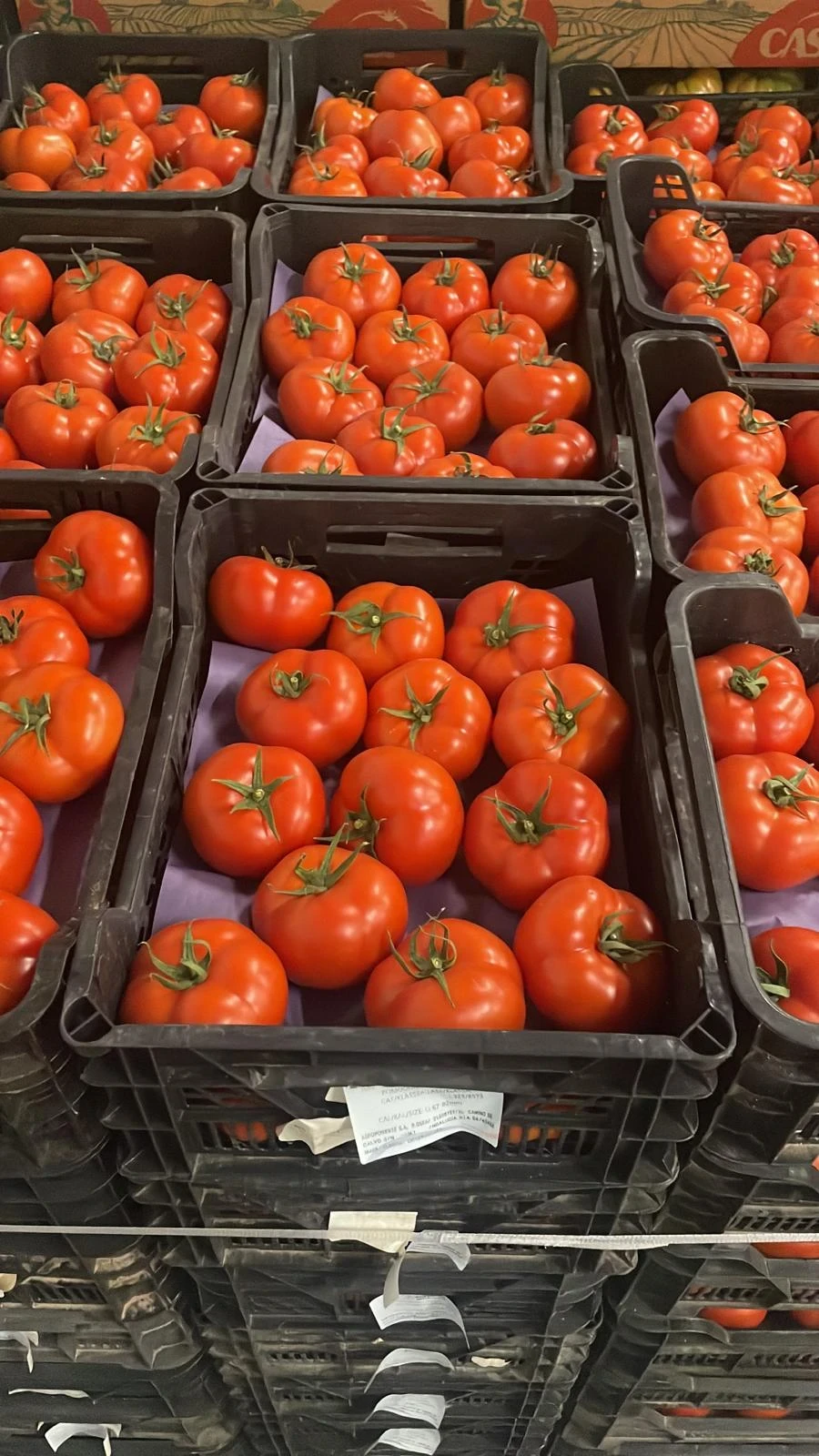 Tomate ensalada
