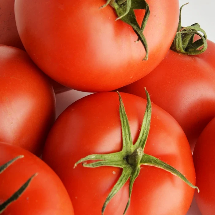Tomates Daniela 1